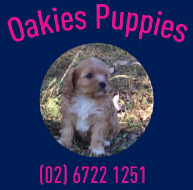 Oakies Puppies Logo